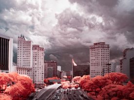 Infrared – Landscape – São Paulo – Brazil -2018