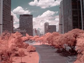 Infrared – Landscape – São Paulo – Brazil – 2018