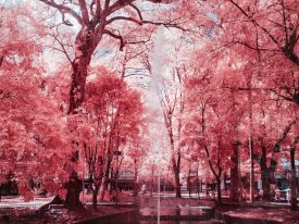 Infrared, São Paulo – Brazil – 2018