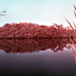 Infrared, Landscape –  Intervales – Brazil – 2018