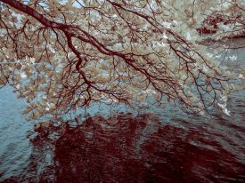 Campinas, Infrared – Brazil