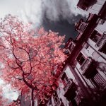 São Paulo, Infrared