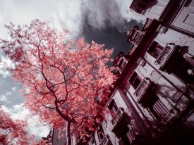 São Paulo, Infrared