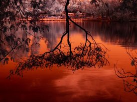 Taquaral, Campinas – Infrared